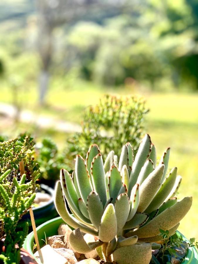 Recanto Roca Grande Cunha Esterno foto